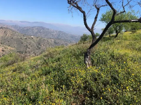 Terreno en Centro Histórico-La Merced